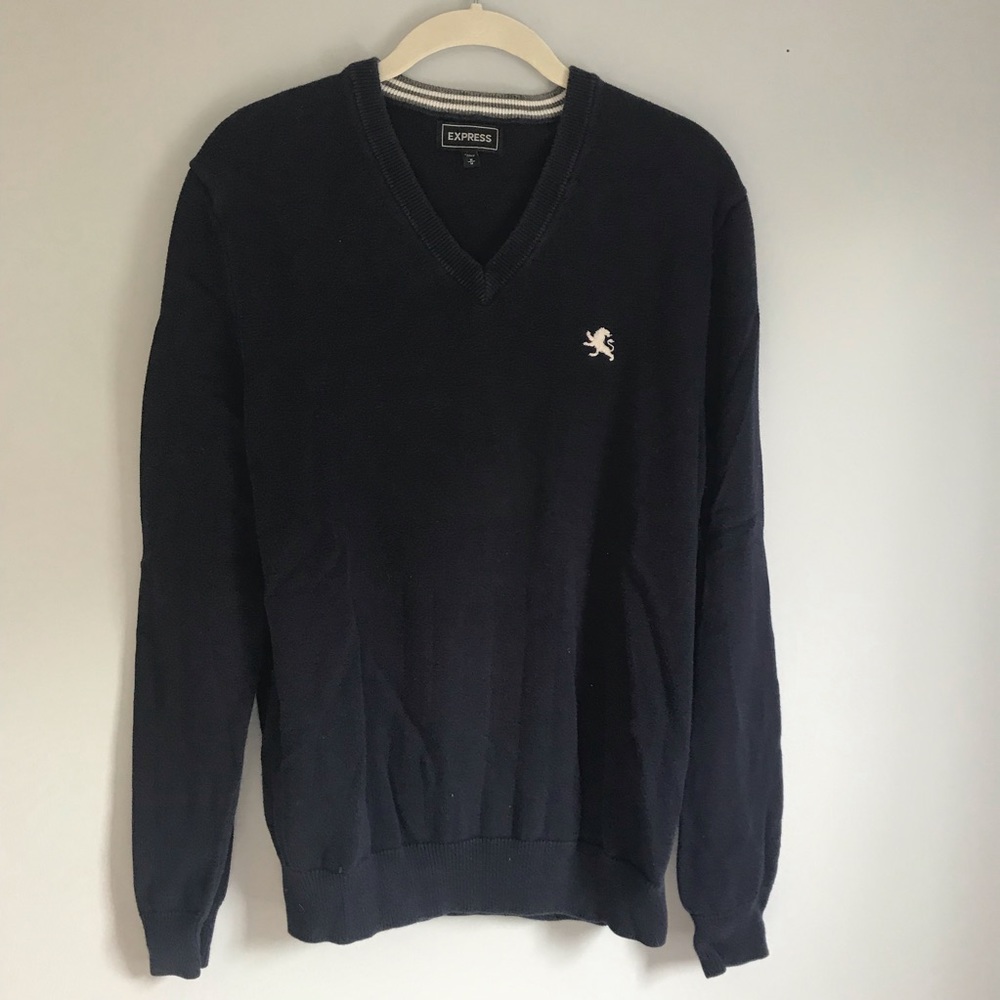 EXPRESS Men’s Dark Blue V-Neck Sweater